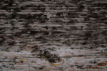 Naklejka premium The texture of the old wood. The texture of the damaged tree.