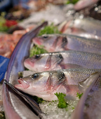 Fish and other seafood on ice on display at a fish market