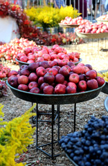 Autumn harvest theme background. Red apples at the harvest holiday. Decoration during Tbilisisoba festival in Tbilisi, Georgia. 