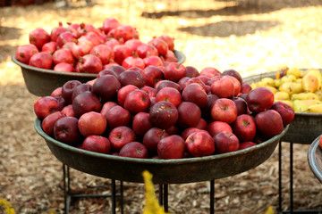 Autumn harvest theme background. Red apples at the harvest holiday. Decoration during Tbilisisoba festival in Tbilisi, Georgia. 
