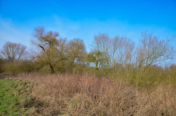 Landschaft am Ruhrufer, Ruhrgebiet, NRW