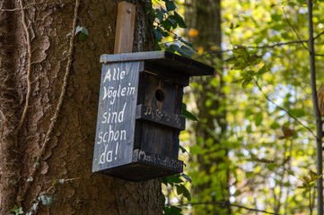 Unterwegs im Herbstwald auf dem Dinkelberg