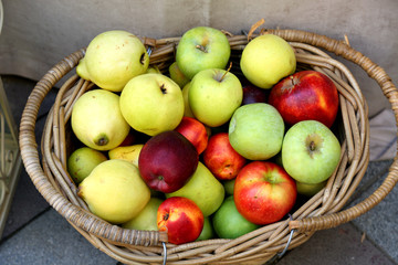 Red, yellow and green apples in the basket. Autumn harvest festival in Tbilisi Georgia.