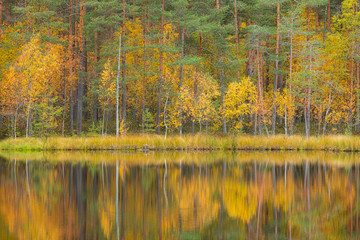 Serene autumn landscape at forest lake