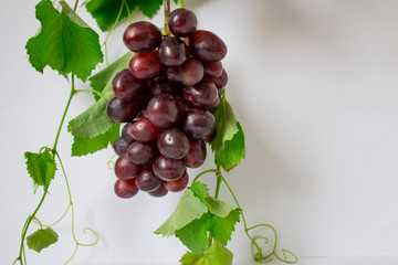 Fototapeta premium Bunches of fresh ripe red grapes on a wooden background. Ancient grapes. Red wine grapes. dark grapes, blue grapes, wine grapes. Copyspace