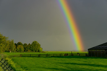 rainbow comes down to grassland of farm near Woerden, the Netherlands