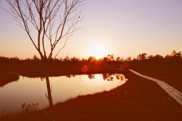 Sunrise over the lake with the reflection of trees in the water.