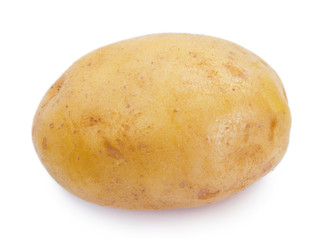 Raw potato on white background