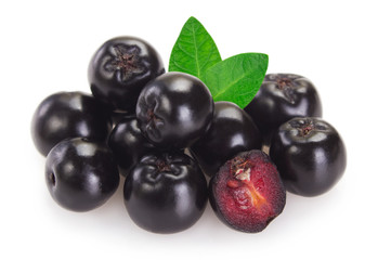 Fresh chokeberry on white background