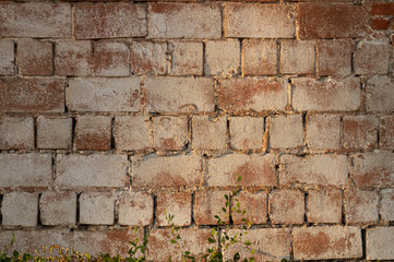 The texture of the old brick. Construction, brick wall. Background and texture for architecture.