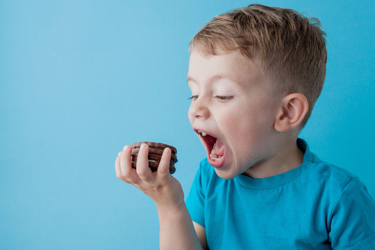 Portrait of confident attractive little boy holds american chocolate chip cookies on blue background
