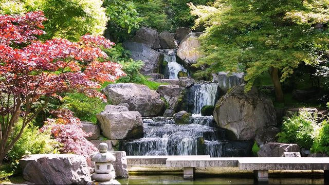 Waterfall loopable cinemagraph with maple trees in Kyoto Japanese Garden in Holland Park green summer peaceful zen lake pond water and green trees in London, UK 