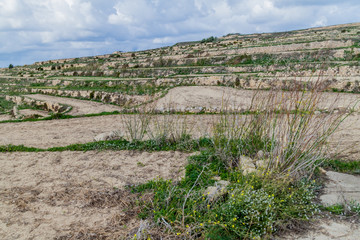 Agricultural terraces on the island of Gozo, Malta