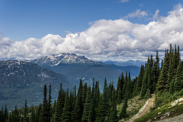 Bird view of the Whistler mountain in the morning from the top.