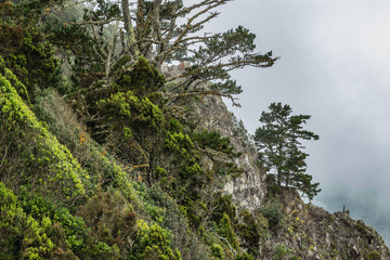 Parque Natural Majona. Northeastern part of La Gomera Island. Old volcanic mountains covered by green grass, thickets of relic laurels and heather on steep slopes. Canary Islands, Spain