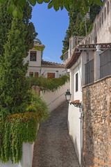 Fototapeta na wymiar A small narrow street with white houses and abundant greenery in the old European city