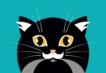 Face of black fluffy cat with big eyes and funny nose looking forward. Vector illustration character