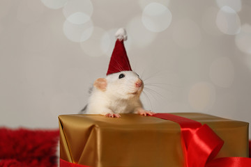 Fototapeta premium Cute little rat with Santa hat and gift box on fluffy blanket against blurred lights. Chinese New Year symbol