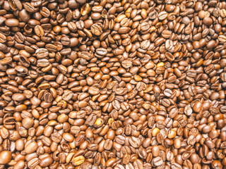 Fresh Roasted Coffee Beans from South America