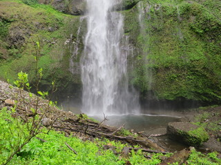 Obraz premium waterfall in forest