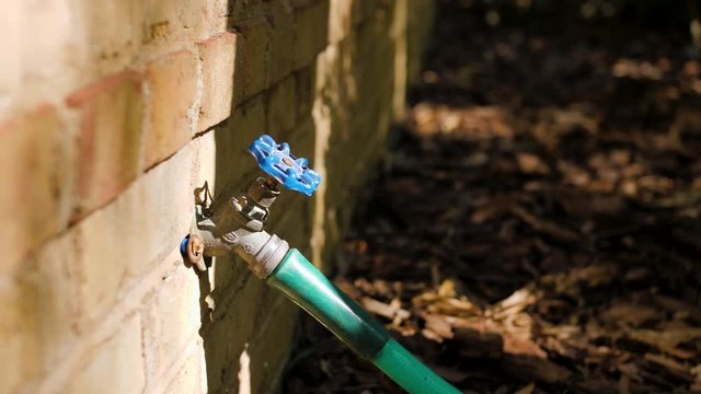 Man turning on outdoor water spigot for watering garden and lawn irrigation. Green garden hose attached to a water faucet with blue handle.