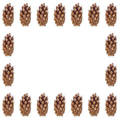 pine cones on white wood table, purity Christmas decoration