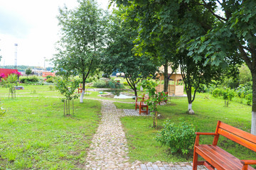 Little green young seedlings of apple trees on nature in a garden park. Landscaping with new trees and plants