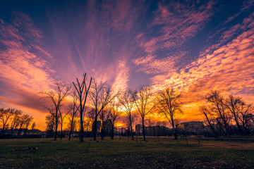 sunset in park