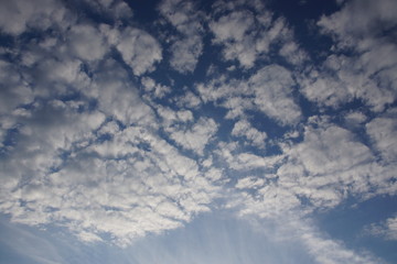 Schöner Cumulus am späten Sommerabend
