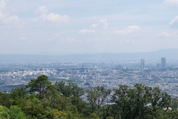 Fototapeta na wymiar 山から見下ろす街の景色