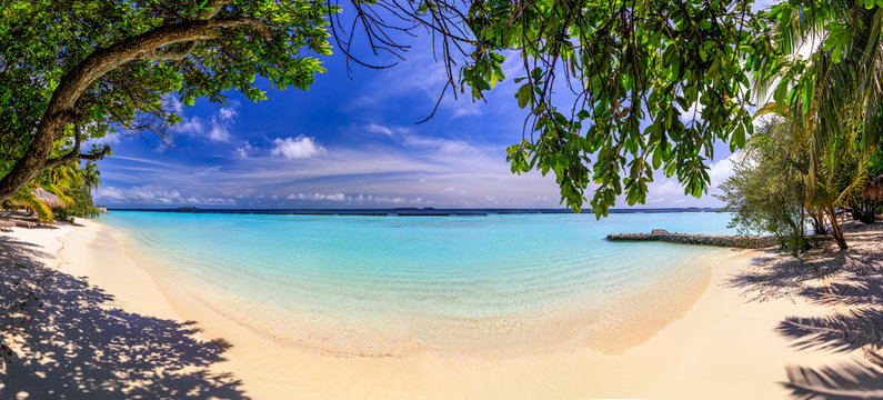 Beach panorama at Maldives with blue sky, palm trees and turquoise water