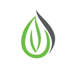 Leaf Water Logo, Nature Water Logo, Drop Water Logo