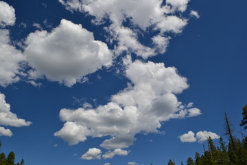 Obraz premium blue sky and clouds