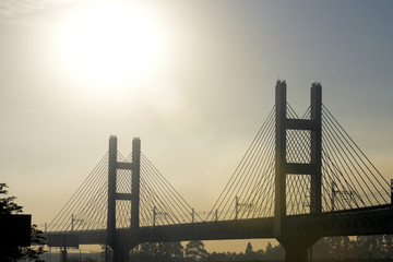 Cable stayed bridge against the backlight