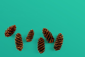 limber pine cones on green background