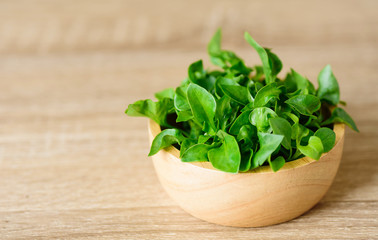 Fresh watercress in a bowl on wooden background