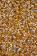 Roughcast pebble dashed empty surface.