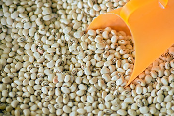 Black eye pea, or Feijao Fradinho, in bulk