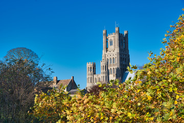 gothic style cathedral and colored leaves, blue sky background