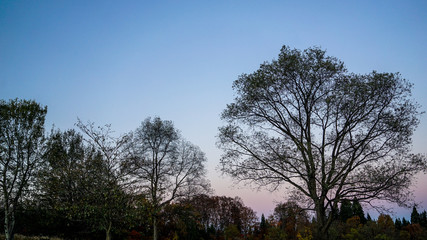 津南町、なじょもん駐車場から見た晩秋の風景