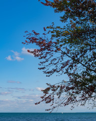 Lake Views in Fall Colours