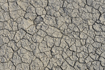 dry season with very arid terrain and little water broken soil virtually no vegetation