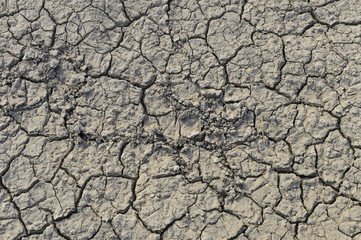 dry season with very arid terrain and little water broken soil virtually no vegetation