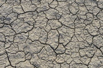 dry season with very arid terrain and little water broken soil virtually no vegetation