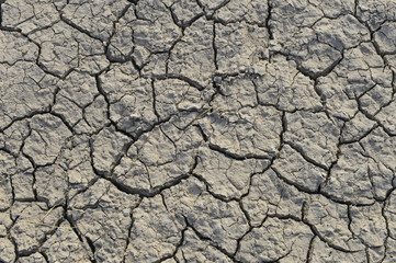 dry season with very arid terrain and little water broken soil virtually no vegetation