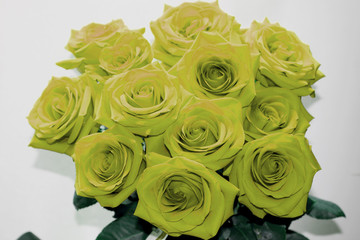Beautiful green rose bouquet