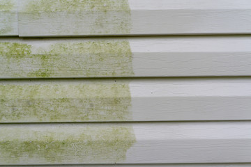Before & After Power Washing Vinyl Siding 