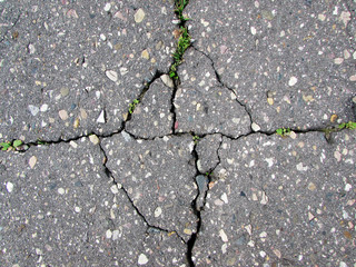 Obraz premium Asphalt, on the way home 