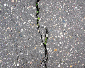 Asphalt, on the way home 