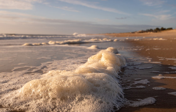 Sea Foam on the Beach on a Sunny Morning With Blue Sky
